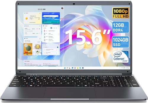 SGIN 15.6 Inch Laptop Computer, 12GB RAM Laptops Computer with 1024GB SSD, Celeron N5095 Quad-Core(Up to 2.8GHz), 15.6'' FHD IPS Notebook, 5G WiFi, BT 5.0, Mini HDMI, Type C, Dual Speakers, Gray