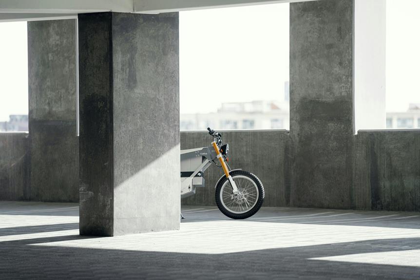 electric bike detailed review
