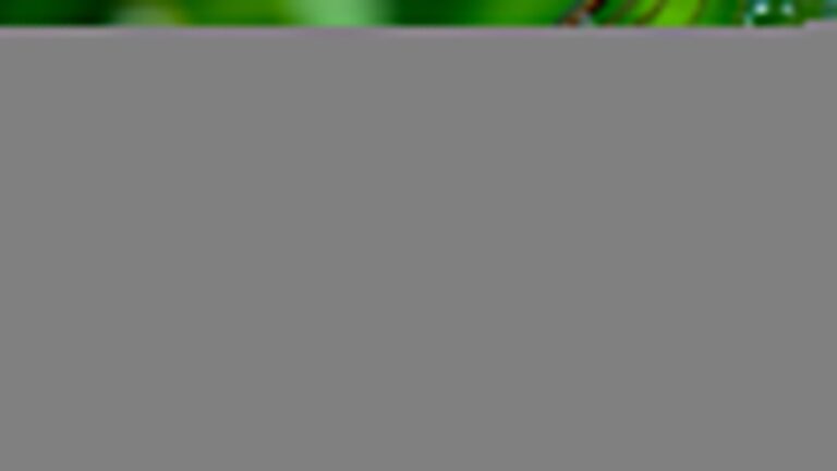 top macro camera picks